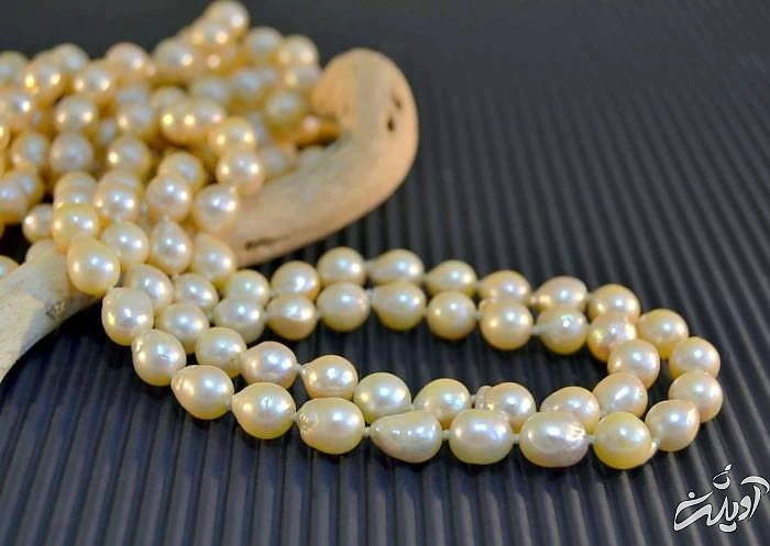 روغن زیتون برای مو استفاده های روغن زیتون